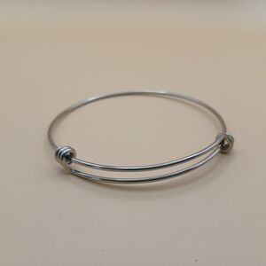 Stainless Steel Bangle Bracelets